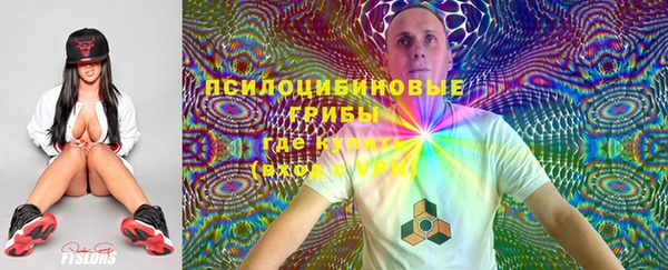 твердый Зеленодольск