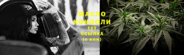 твердый Зеленодольск