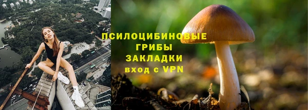 твердый Зеленодольск